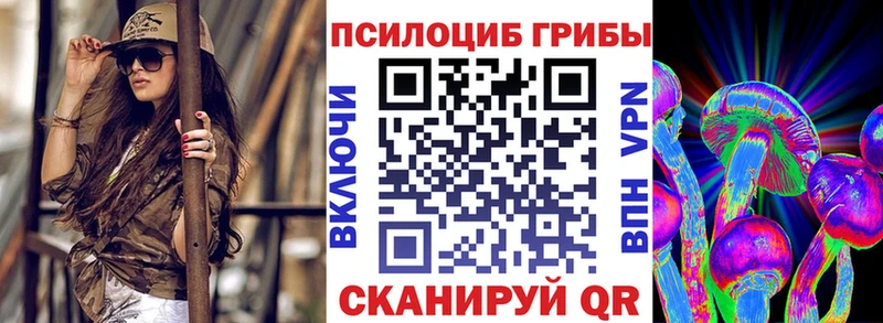 kraken как войти  закладки  Кяхта  Псилоцибиновые грибы Psilocybe 